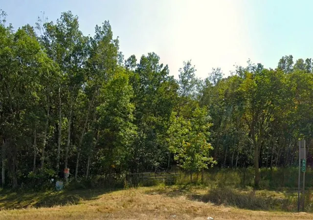 2nd image of Tbd State Hwy 29 N, Alexandria, MN 56308 | MLS# 7037964