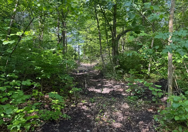 33rd image of Tbd Catherine Ln, White Earth, MN 56591 | MLS# 7038048