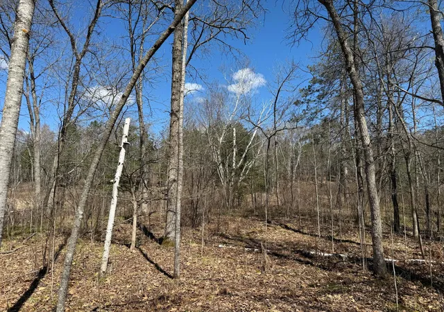 Homes for sale in Emily, MN | Lot 7 Block 1 Yellow Birch Ln, Emily, MN 56447 | MLS# 7038758