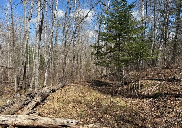 Homes for sale in Emily, MN | Lot 7 Block 1 Yellow Birch Ln, Emily, MN 56447 | MLS# 7038758