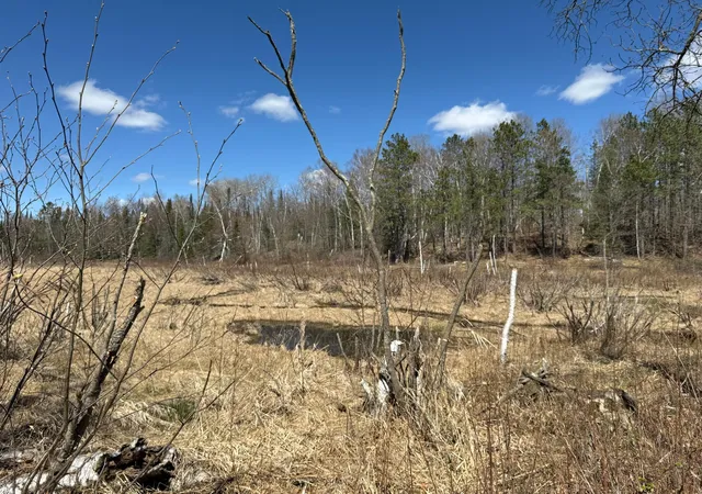 Homes for sale in Emily, MN | Lot 7 Block 1 Yellow Birch Ln, Emily, MN 56447 | MLS# 7038758