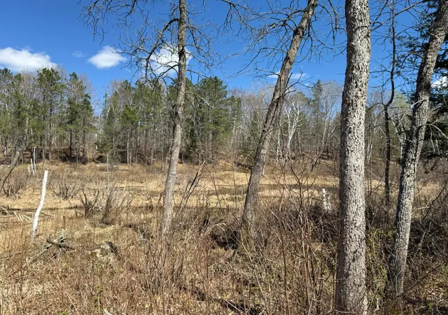 Homes for sale in Emily, MN | Lot 7 Block 1 Yellow Birch Ln, Emily, MN 56447 | MLS# 7038758