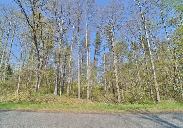 1st image of Lots 5, 6, 7 Terminal Rd, Pequot Lakes, MN 56472 | MLS# 7039295