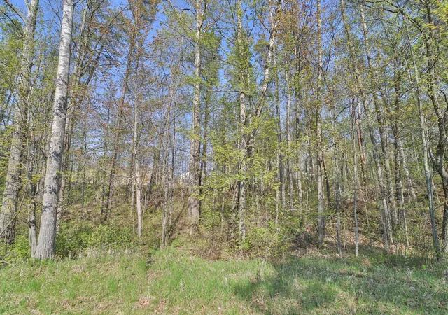 4th image of Lots 5, 6, 7 Terminal Rd, Pequot Lakes, MN 56472 | MLS# 7039295