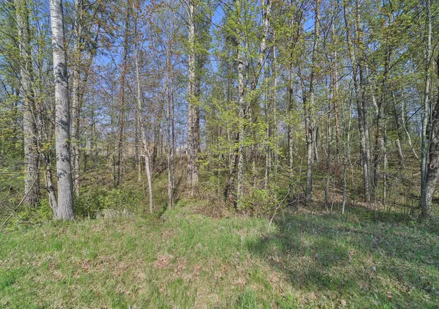 9th image of Lots 5, 6, 7 Terminal Rd, Pequot Lakes, MN 56472 | MLS# 7039295