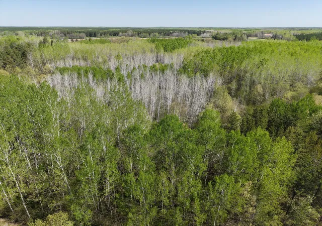 Homes for sale in Osage, MN | Tbd 10 Bog Lake Trl, Osage, MN 56570 | MLS# 7039565