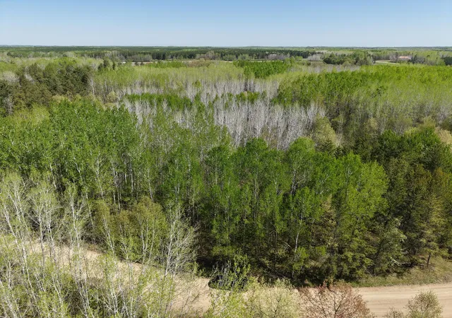 Homes for sale in Osage, MN | Tbd 10 Bog Lake Trl, Osage, MN 56570 | MLS# 7039565