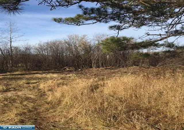 11th image of 6501 Hwy 169, Tower, MN 55790 | MLS# 7039704