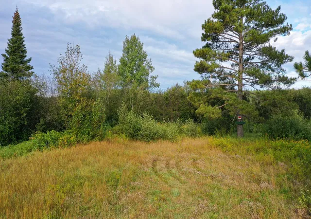 3rd image of 6501 Hwy 169, Tower, MN 55790 | MLS# 7039704