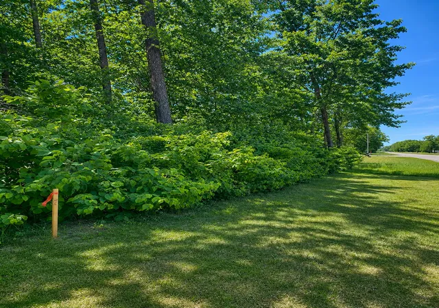 4th image of Tbd Clearwater Rd N, Baxter, MN 56425 | MLS# 7039776
