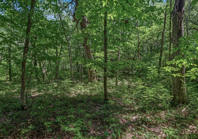 2nd image of 25xxx Itasca Ave, Forest Lake, MN 55025 | MLS# 7040080