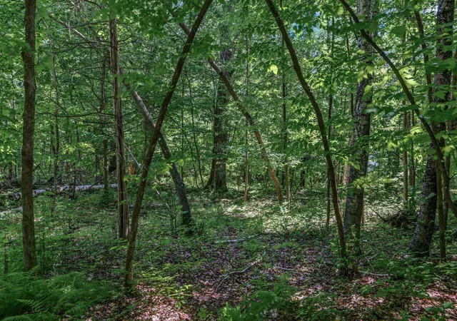 3rd image of 25Xxx Itasca Ave, Forest Lake, MN 55025 | MLS# 7040080
