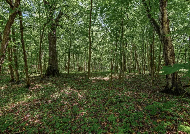 4th image of 25Xxx Itasca Ave, Forest Lake, MN 55025 | MLS# 7040080