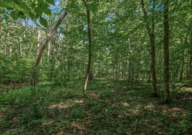 5th image of 25Xxx Itasca Ave, Forest Lake, MN 55025 | MLS# 7040080