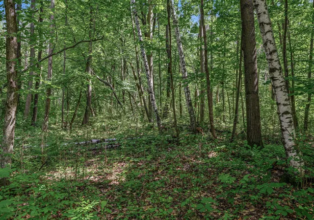 2nd image of 25179 Itasca Ave, Forest Lake, MN 55025 | MLS# 7040081