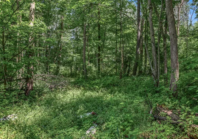 Photo 4 of Land for sale at 25179 Itasca Ave, Forest Lake, MN 55025 | MLS# 7040081 | Listing updated on 2026-10-03