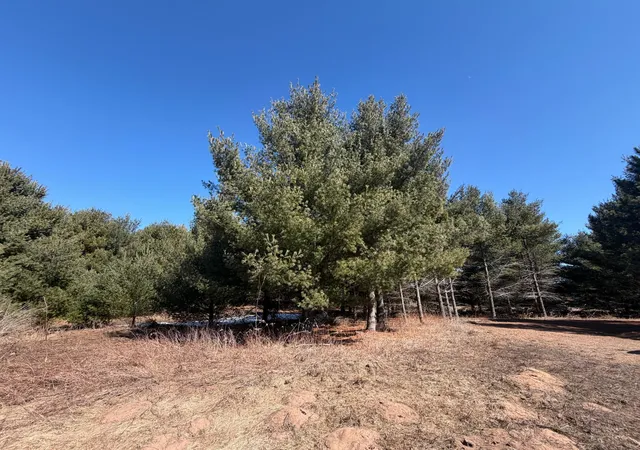 46th image of 27102 Daniel Dr, Webster, WI 54893 | MLS# 7040574