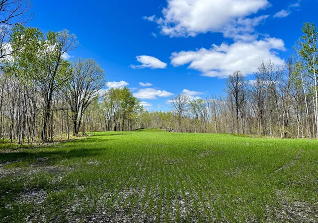 Photo 2 of Land for sale at Tbd 15th Street Nw, Bemidji, MN 56601 | MLS# 7040581 | Listing updated on 2026-05-27