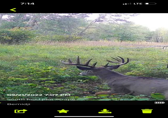 Photo 4 of Land for sale at Tbd 15th Street NW, Bemidji, MN 56601 | MLS# 7040581 | Listing updated on 2026-05-27