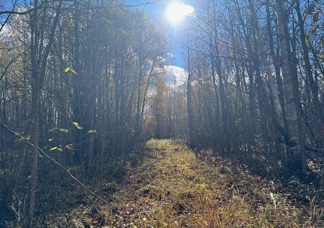 1st image of Tbd Spangrud Ct Ne, Kelliher, MN 56650 | MLS# 7040887