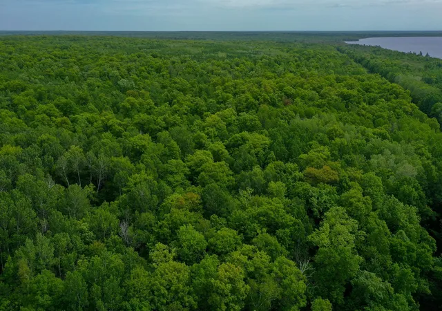 5th image of Tbd- 315Th Ave, Laporte, MN 56461 | MLS# 7040923
