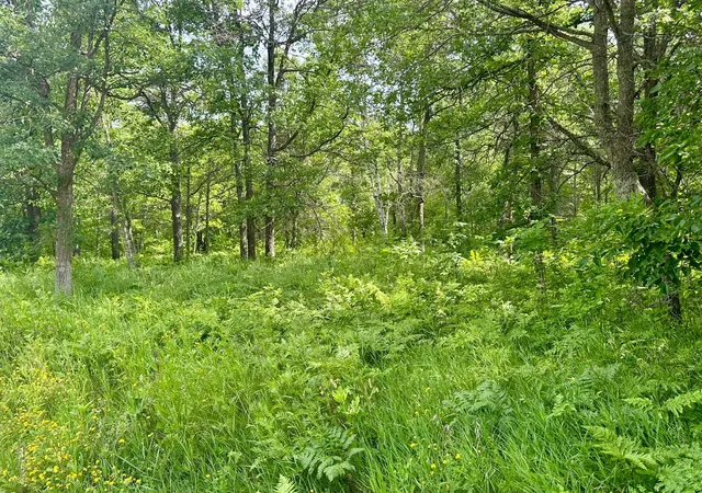 Homes for sale in Walker, MN | Lot 2 Blk 1 Eagle Dr Nw, Walker, MN 56484 | MLS# 7040948