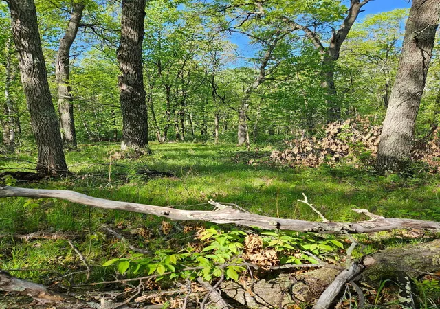 3rd image of Tbd Lot 49, Blk 1 Huron Dr, Breezy Point, MN 56472 | MLS# 7041188