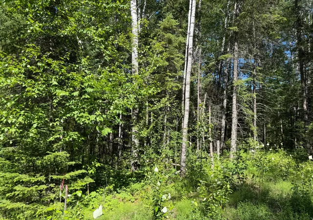 Homes for sale in International Falls, MN | Tbd Town Road 211, International Falls, MN 56649 | MLS# 7044008