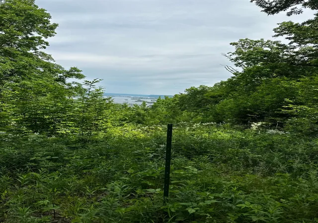 Photo 1 of Land for sale at Lot 1 Alma Hills, Alma, WI 54610 | MLS# 7044074 | Listing updated on 2026-07-21