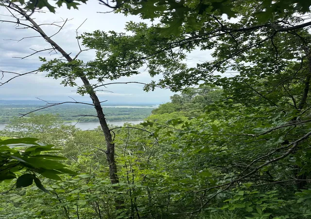 Photo 3 of Land for sale at Lot 1 Alma Hills, Alma, WI 54610 | MLS# 7044074 | Listing updated on 2026-07-21