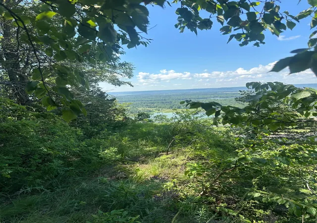 Photo 2 of Land for sale at Lot 4 Alma Hills, Alma, WI 54610 | MLS# 7044187 | Listing updated on 2026-07-21