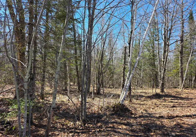 Homes for sale in Cloquet, MN | Tbd Stark Rd, Cloquet, MN 55720 | MLS# 7044220