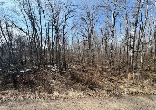 Photo 3 of Land for sale at Tbd 1st Avenue N, Hibbing, MN 55746 | MLS# 7044232 | Listing updated on 2026-05-27