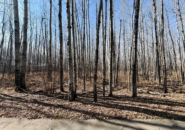 Photo 4 of Land for sale at Tbd 1st Avenue N, Hibbing, MN 55746 | MLS# 7044232 | Listing updated on 2026-05-27