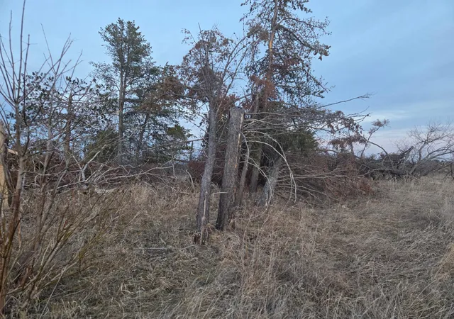 Photo 3 of Land for sale at Tbd Lot 5 Beartooth Ave Sw, Bemidji, MN 56601 | MLS# 7044343 | Listing updated on 2026-05-27