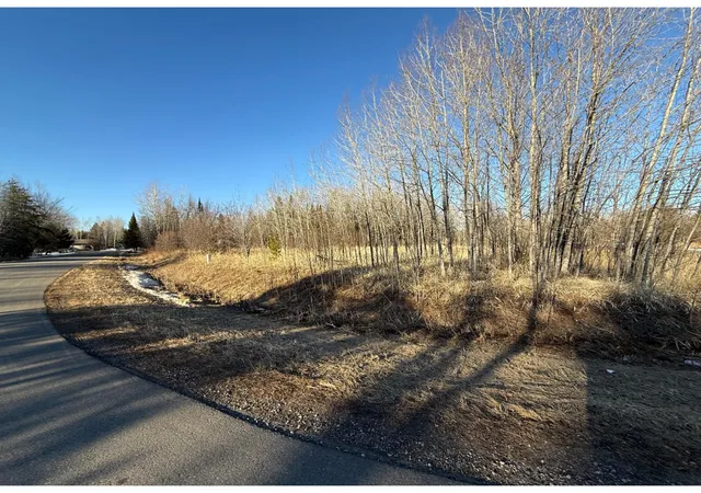 3rd image of Tbd Holland Dr, Aurora, MN 55705 | MLS# 7044349