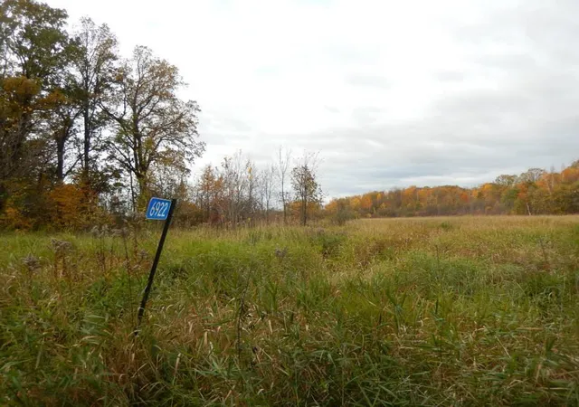 Homes for sale in Princeton, MN | Tbd 16 005 0102 Mille Lacs County, Princeton, MN 55371 | MLS# 7044458