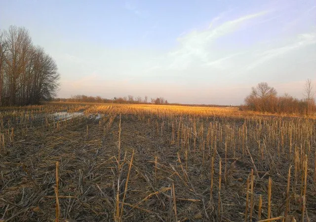 Homes for sale in Princeton, MN | Tbd 16 005 0102 Mille Lacs County, Princeton, MN 55371 | MLS# 7044458