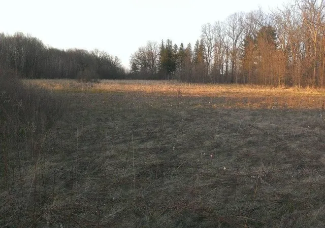 Homes for sale in Princeton, MN | Tbd 16 005 0102 Mille Lacs County, Princeton, MN 55371 | MLS# 7044458