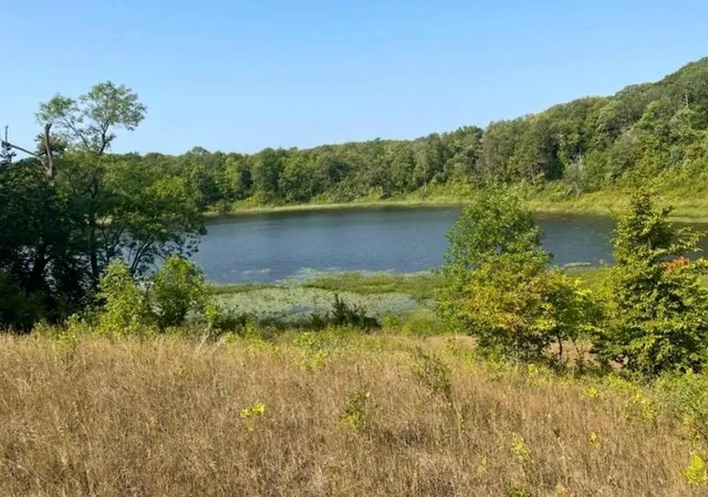 Homes for sale in Vergas, MN | 585 Lake Street W, Vergas, MN 56587 | MLS# 7044938