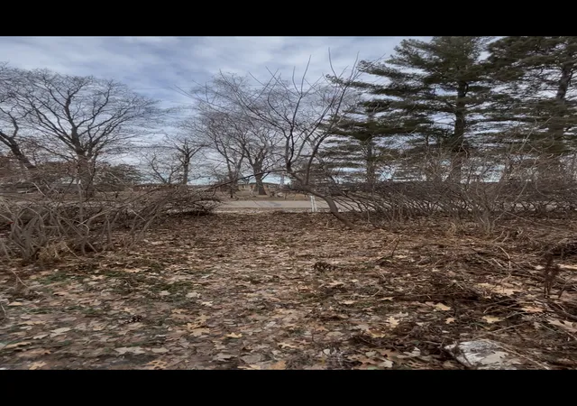 3rd image of Tbd Big Pine Trail, Crosslake, MN 56442 | MLS# 7044961