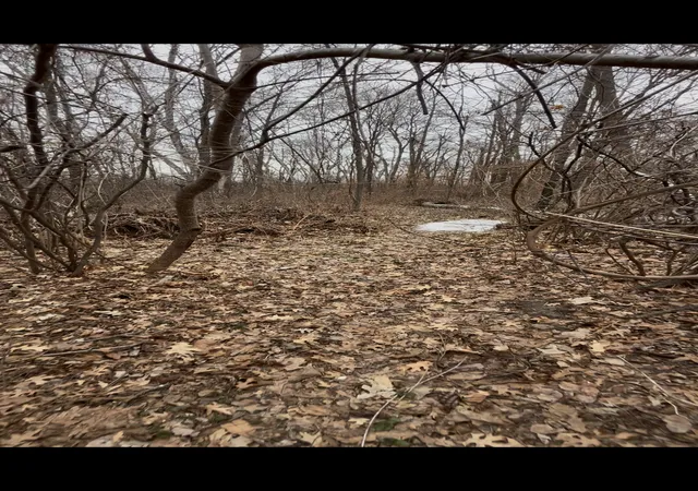 4th image of Tbd Big Pine Trail, Crosslake, MN 56442 | MLS# 7044961