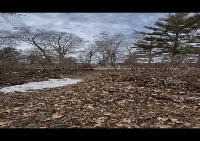5th image of Tbd Big Pine Trail, Crosslake, MN 56442 | MLS# 7044961