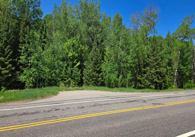 Homes for sale in Orr, MN | Tbd 21 Nett Lake Rd, Orr, MN 55771 | MLS# 7045253