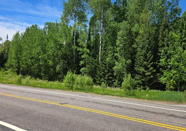 Homes for sale in Orr, MN | Tbd 21 Nett Lake Rd, Orr, MN 55771 | MLS# 7045253