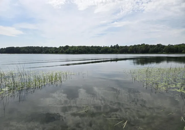 5th image of 26361 Hammock Dr, Park Rapids, MN 56470 | MLS# 7045311