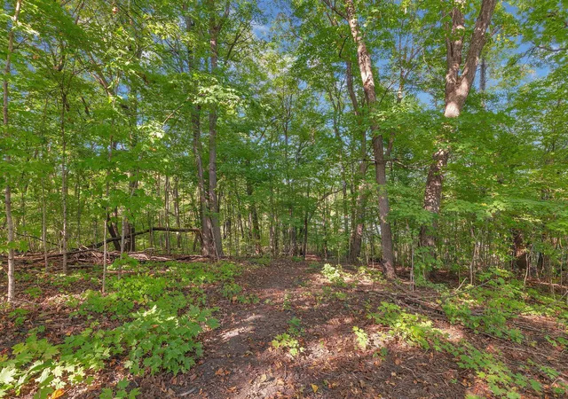 3rd image of 12814 Juniper Rd, Saint Joseph, MN 56374 | MLS# 7045356