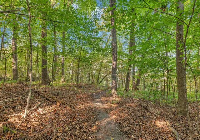 4th image of 12814 Juniper Rd, Saint Joseph, MN 56374 | MLS# 7045356