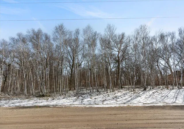 Photo 13 of Land for sale at 21781 Trestle Ridge Rd, Albany, MN 56307 | MLS# 7045496 | Listing updated on 2026-10-06