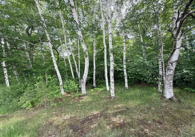 Photo 2 of Land for sale at 21781 Trestle Ridge Rd, Albany, MN 56307 | MLS# 7045496 | Listing updated on 2026-10-06